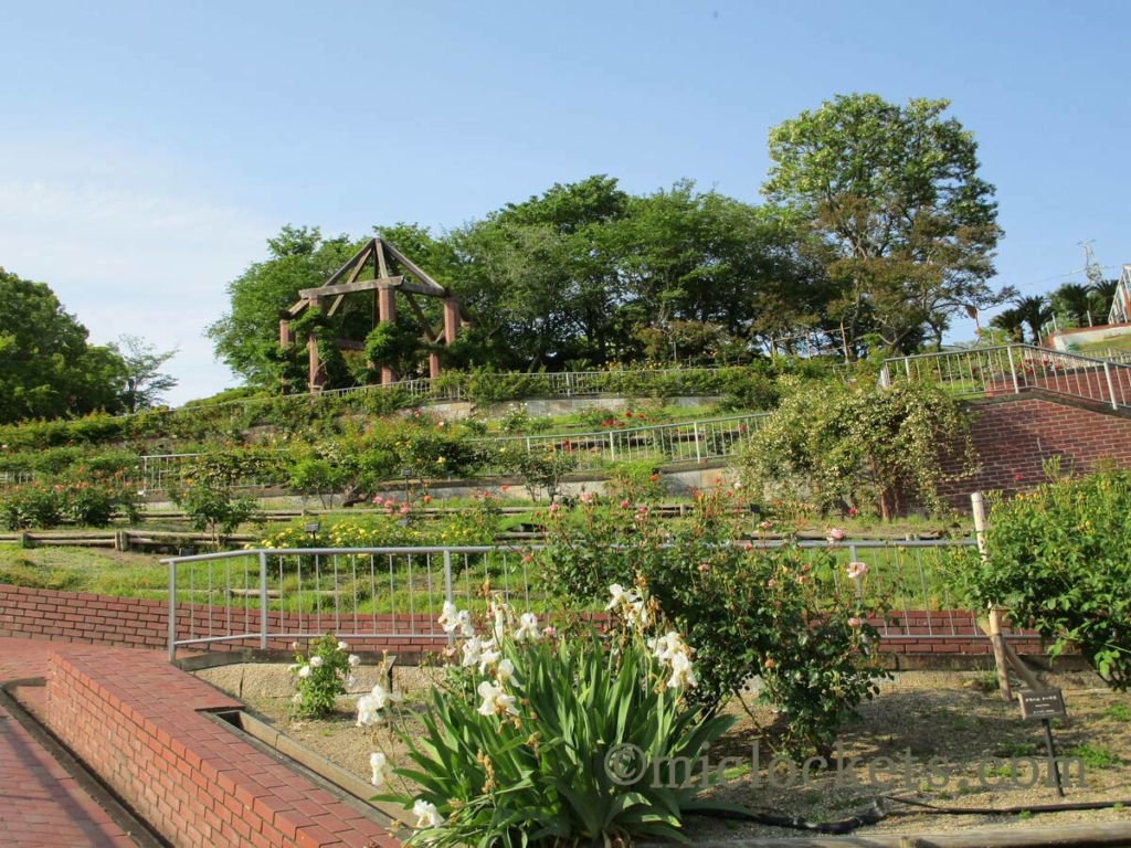 半田山植物園